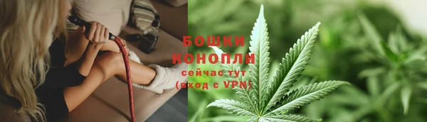 винт Сосновый Бор