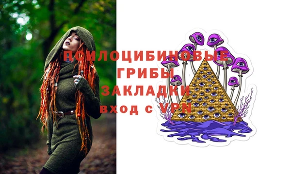 Альфа ПВП Снежногорск