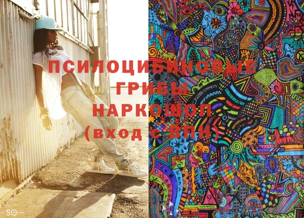 Альфа ПВП Снежногорск