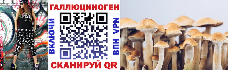 Купить  Учалы  Галлюциногенные грибы MAGIC MUSHROOMS 
